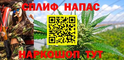 амф Гусь-Хрустальный