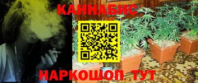 амф Гусь-Хрустальный