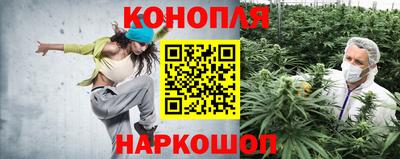 амф Гусь-Хрустальный